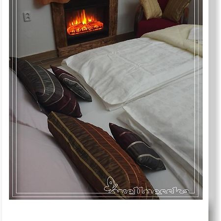 Wellnesska Vyhne Villa Buitenkant foto
