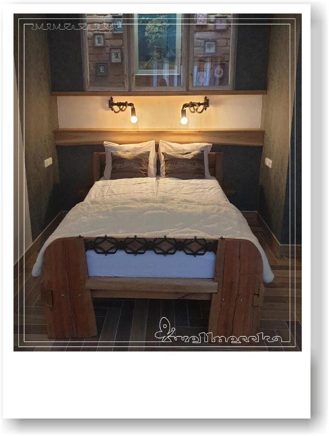 Wellnesska Vyhne Villa Buitenkant foto