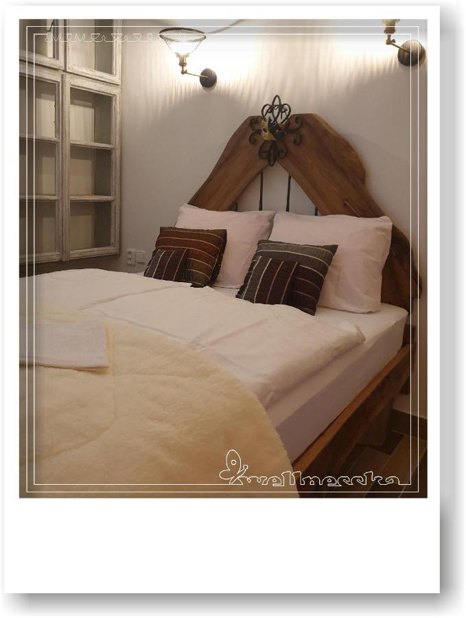 Wellnesska Vyhne Villa Buitenkant foto