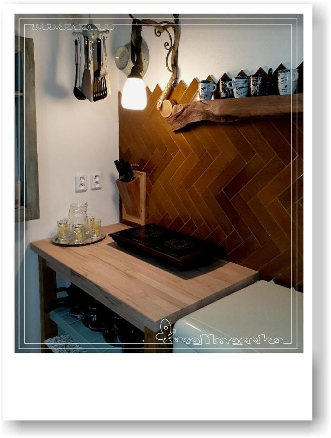 Wellnesska Vyhne Villa Buitenkant foto