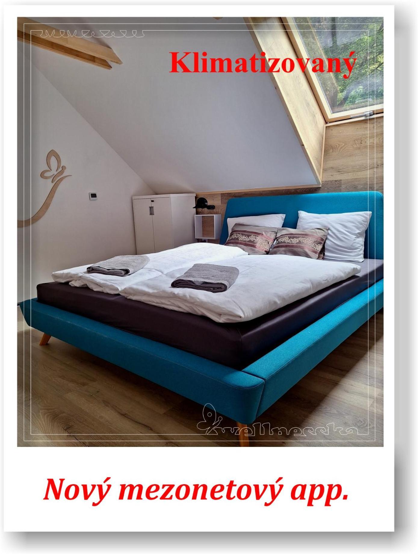 Wellnesska Vyhne Villa Buitenkant foto